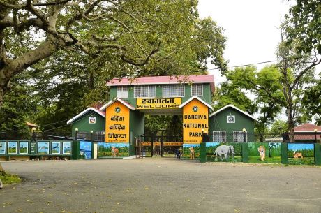 Wildlife safari experience in Bardiya National Park