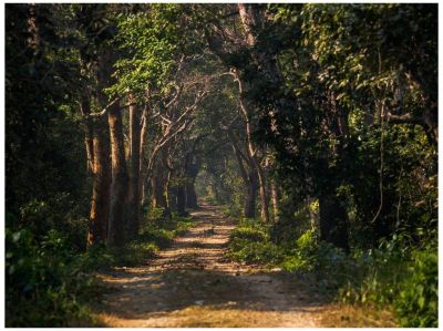 Arrival view at Bardiya National Park, Nepal